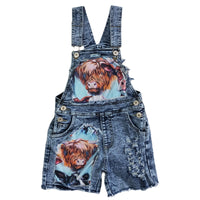 Jean Overalls