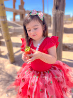 Long Strawberry Tulle Tutu